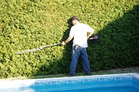 Darcy trimming a hedge